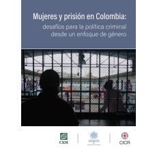 Mujeres y prisión en Colombia: desafíos para la política criminal desde un enfoque de género